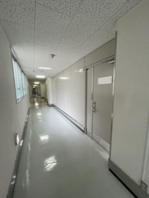 写真4