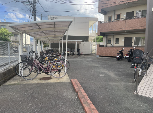 写真6